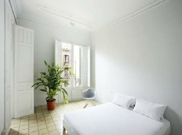 rastlin v-spalnici-v-beli-barve