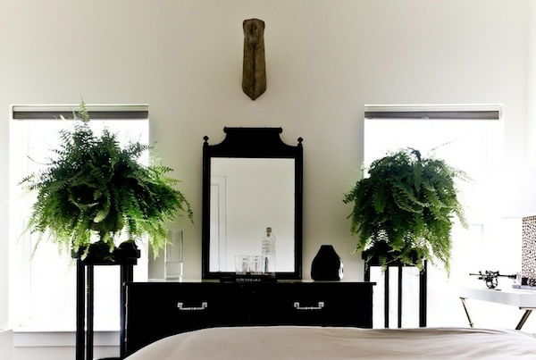 augalų-in-miegamojo-su-elegantiškas veidrodis