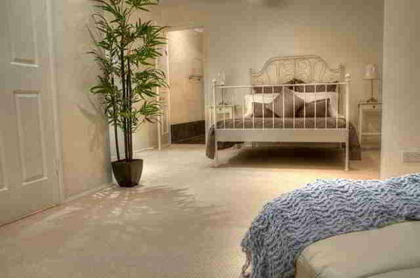 augalų-in-miegamojo-su-įdomų-lovų