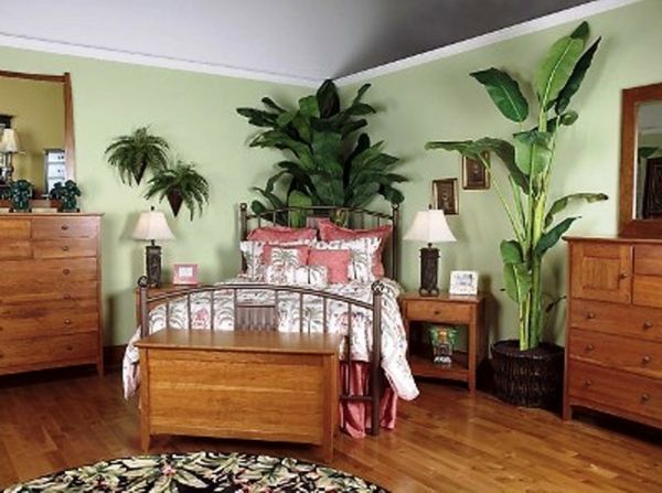 augalų-in-miegamojo-su-medžio dizainas