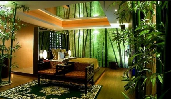 plante-in-dormitor-cu-super-exotice-echipamente