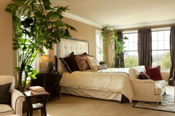 plantă de-a-alb-pat-cu-decorative perne in-dormitor-