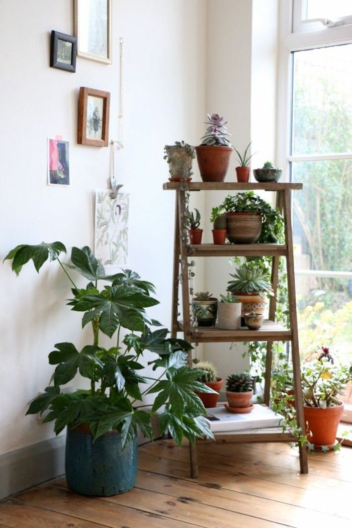 växt-in-the-hörnet-in-living-Decor-idéer vardagsrum make-Krukväxter