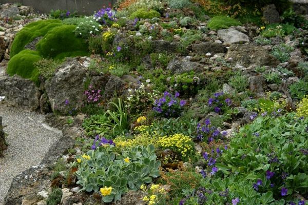 Kamni in rastline na vrtu - dobre ideje