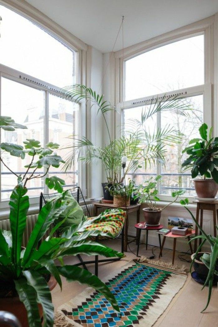 plante hjørne-of-the-terrassen-decoration tips-Wohndeko Idea dekorasjon tips Parlor okras