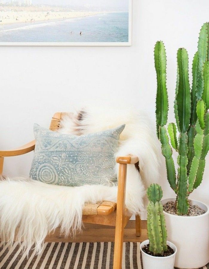 växt Corner-kaktus hörn Decor-idéer-okra-dekoration tips vardagsrum