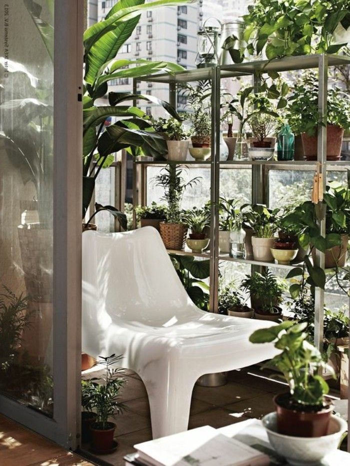 växt Corner-väggbeklädnad-med-växt-wondeko-idéer-okra