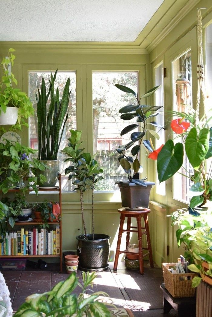 pflanzenvordemfensterimwohnzimmer-växthörn dekoration tips vardagsrum