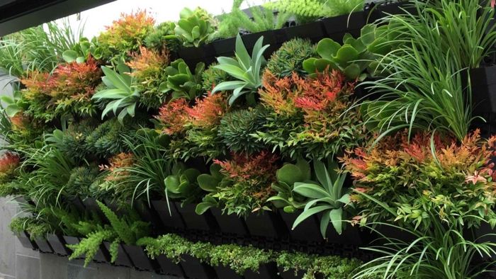 Vertikalni vrt z eksotičnimi rastlinskimi vrstami v več različnih barvah