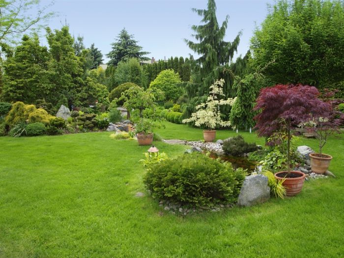 štiri cvetlične lončke z okrasnimi drevesi, kamninski vrt, angleški vrt - naredite vrt enostaven za nego