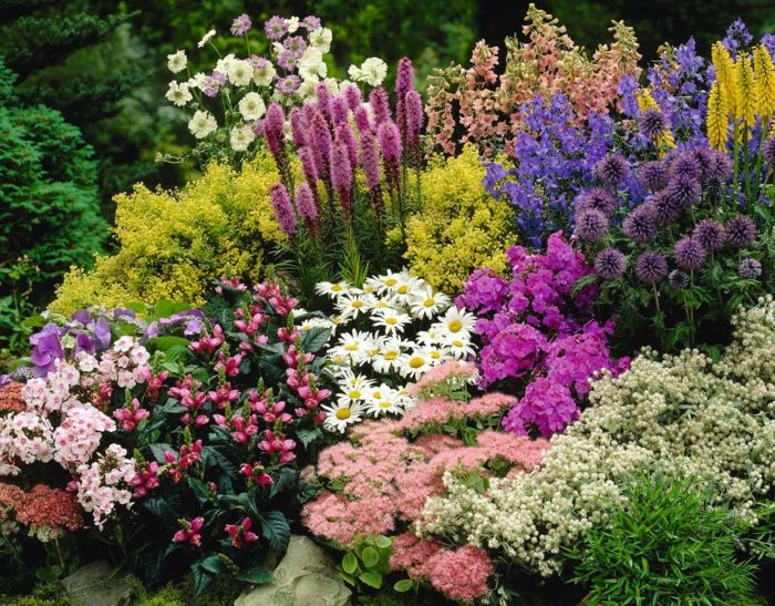 navpični vrt s sivko in drugimi cvetovi v veselih barvah urejenih vrtnih ležišč