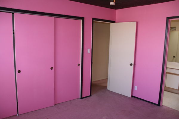roz-perete-culoare-cameră-fără-mobilier-aspect frumos