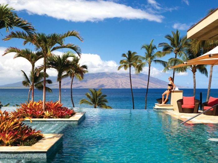 tapet piscina exotice-frumos-mediu palmele