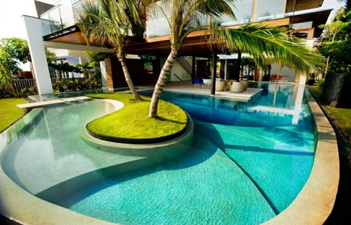 tapet piscina frumos verde-palmele