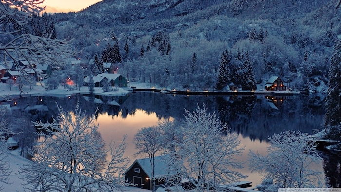 miškas su daugybe sniego medžių - ežeras ir mažas namas - gražus žiemos vaizdas