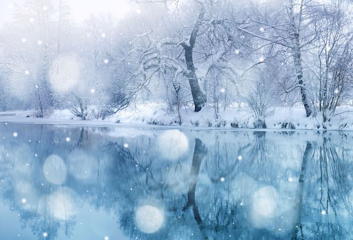 un lac albastru și o pădure cu mulți copaci cu zăpadă - imagini de iarnă romantice