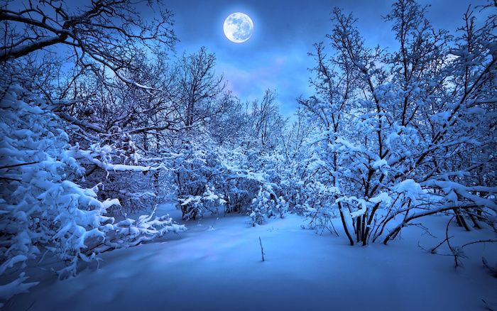 dangus su mėlynais debesimis ir didelis baltas mėnulis - miškas su daugybe medžių ir sniego