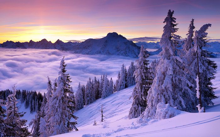 un peisaj de iarnă cu munți cu zăpadă și nori - o pădure cu mulți copaci și zăpadă