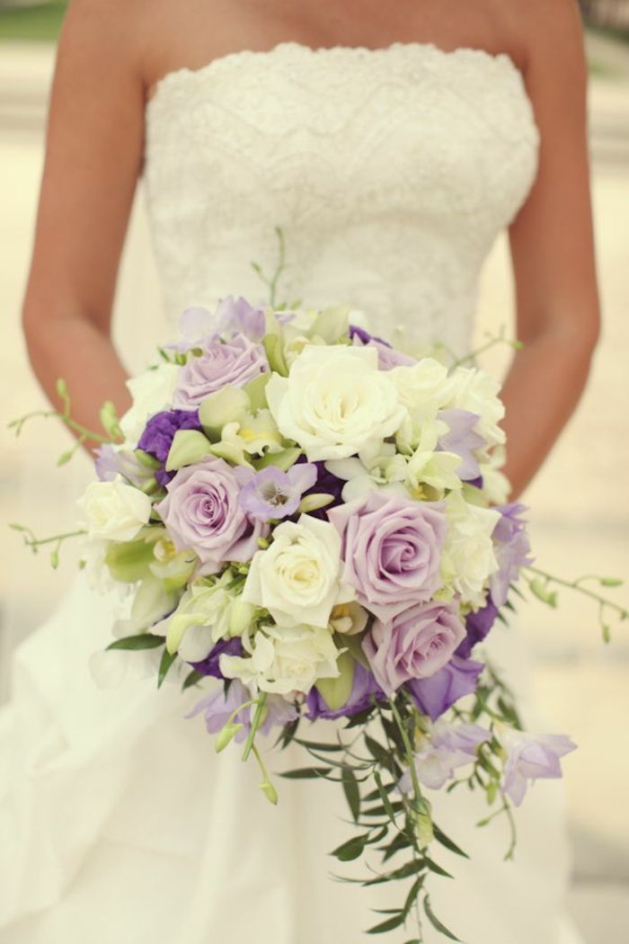 romantiškas-kėlimo rožė violetinė kreminės spalvos