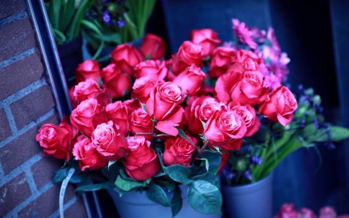 Bouquet vrtnic, vrtnic, rdeče rože, odlično darilo za drago ženo
