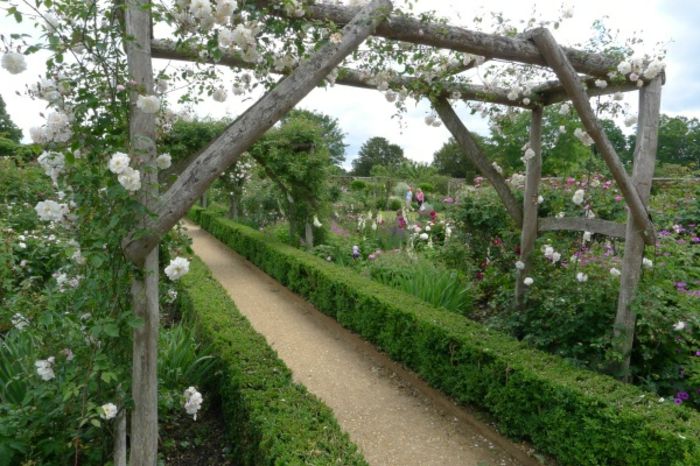 róża Arc-of-drewna-piękny-design-zielony-ogród