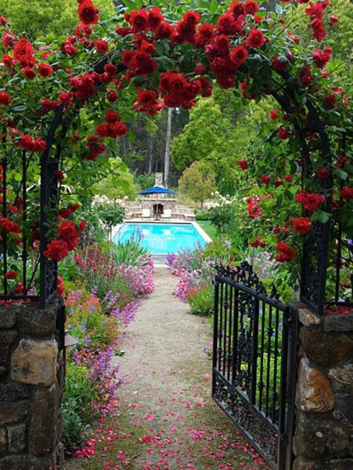 róża arch Gartentor-podwórko-garden-z-basenem