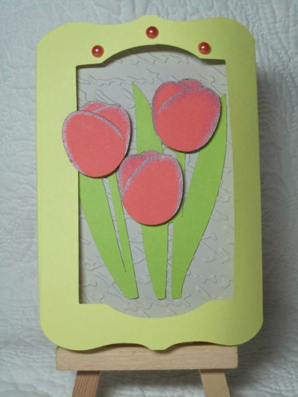 rožev tulipan - zeleni okvir