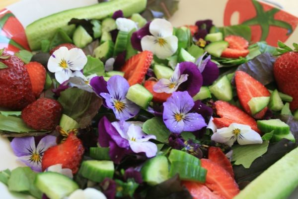 salada-com-pepino-and-strawberry-jantar-deco-floral-flores-comer-