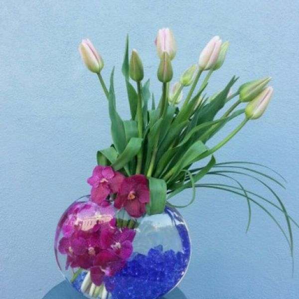 pen fransk-tulipaner-in-a-moderne-vase