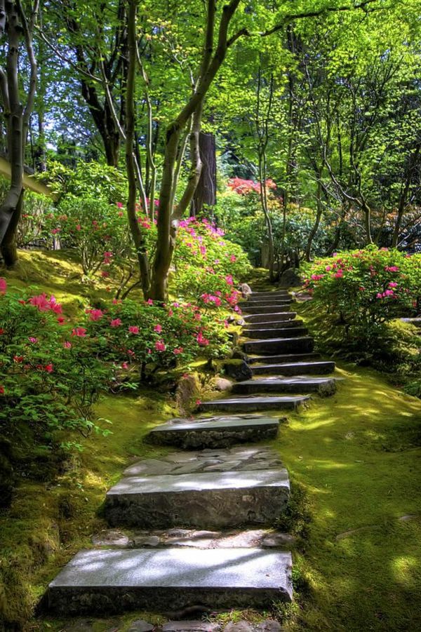 grădină frumoasă idee de proiectare a scarilor