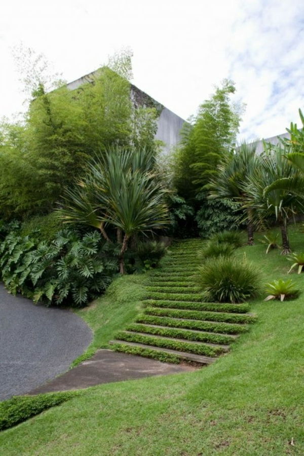 scări grădină frumoasă acoperite cu iarbă