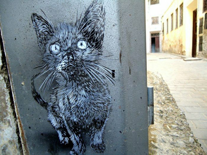 piękne graffiti, Cat funny-słodkie