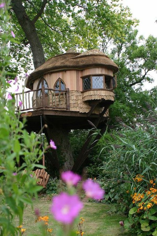graži idėja medis-namas