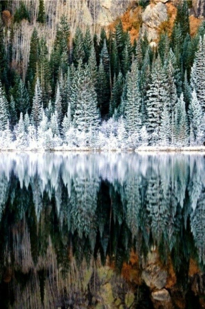 bela imagem inverno Parque Nacional Rocky Mountain Colorado EUA