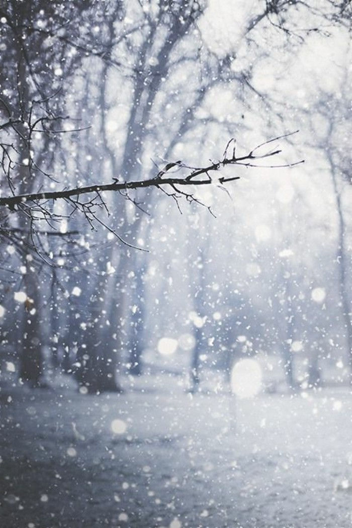 krásne zimné obrazy sympatické vločky a romantický snímku
