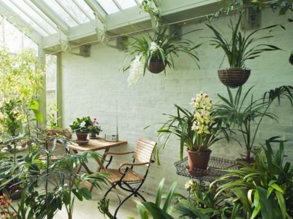 face frumos-plantare-conservatory-