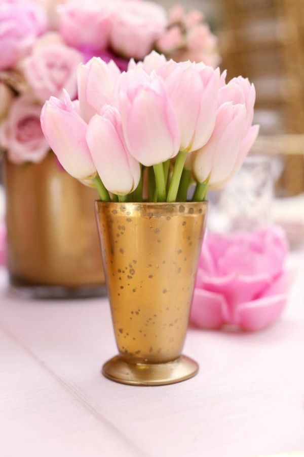 -belos-Blumendeko papel de parede tulipa de plantação de tulipa-da-compra-tulipa-tulipa-in-amsterdam-tulipa papel de parede