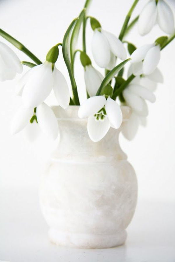 frumos-decorare-de-ghiocelul Galanthus-the-prima-flori-des-ani-zăpadă-alb-flori