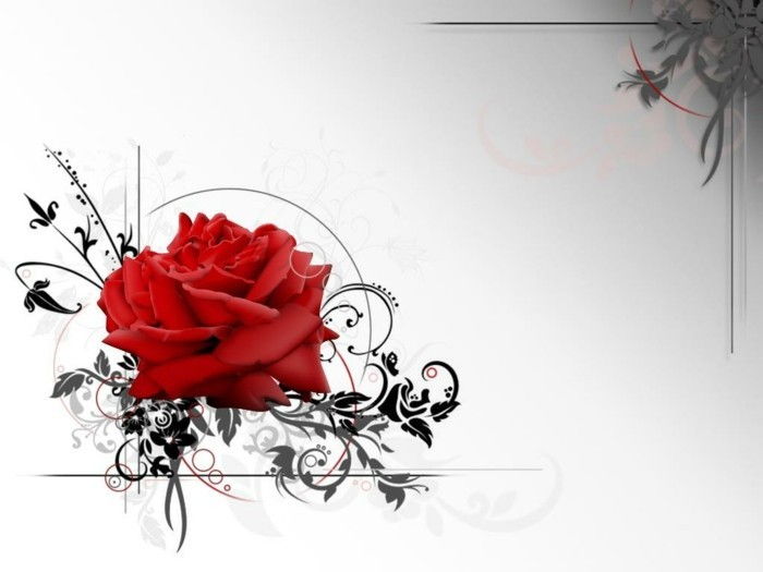 tapet frumos-interesant-Valentine mare-rosu-trandafir