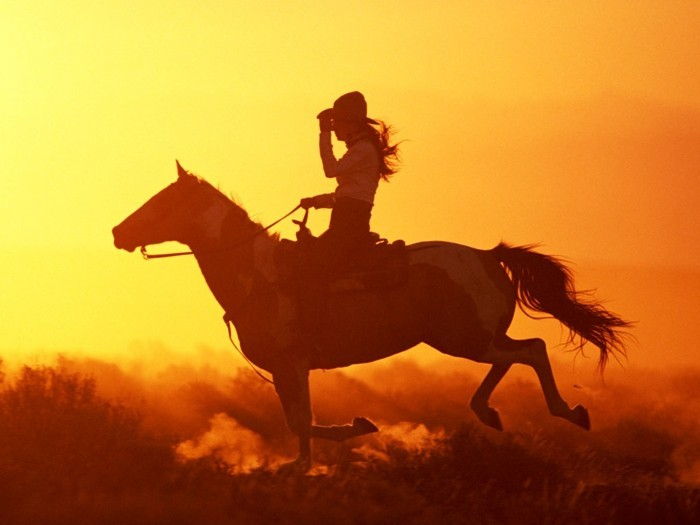 vacker-hästbilder-the-häst och-be-rider