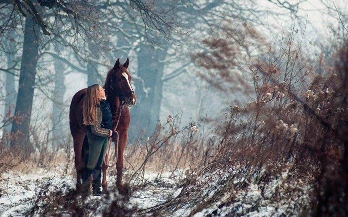 lepa-horse-slike-the-odnos med-man-in-konj-je-zelo močna