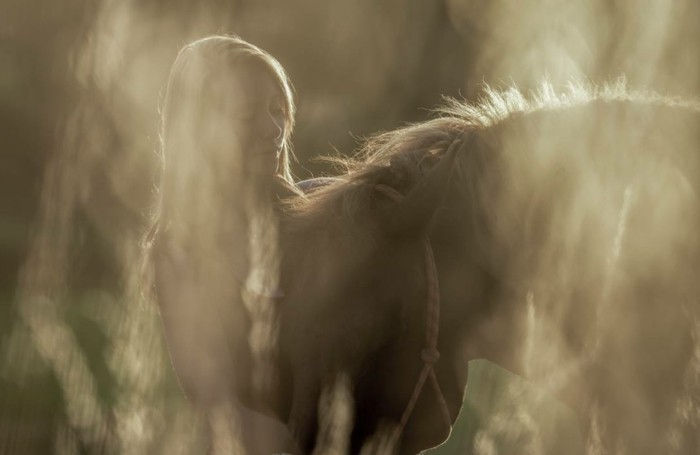 Gražus arklys-nuotraukos-the-stiprus-santykiai-tarp-arklys-and-žmogaus