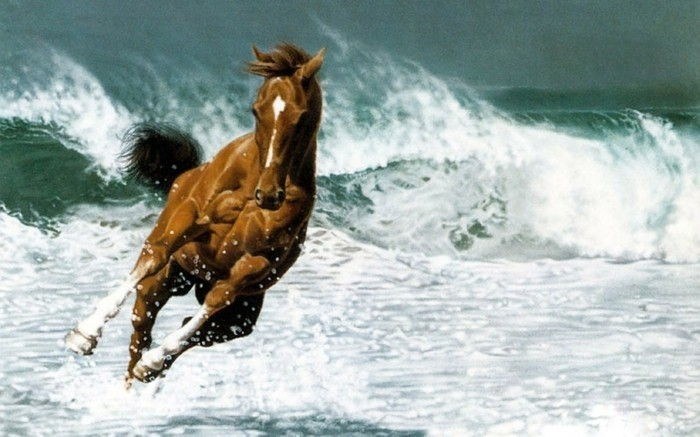 vacker-hästbilder-här-fråga-vi-dem-men-a-bra-image-före