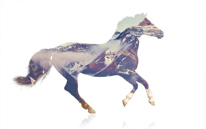 göra trevliga-hästbilder-med-flera exponerings stor tapet