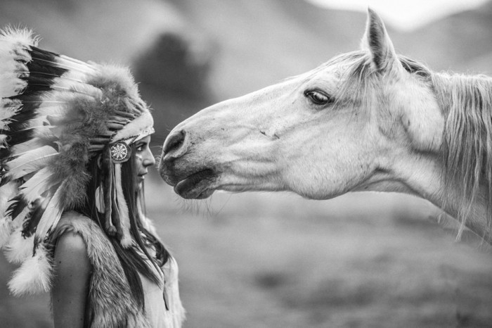 Beautiful-häst pictures-vacker häst tapet i svart och vitt