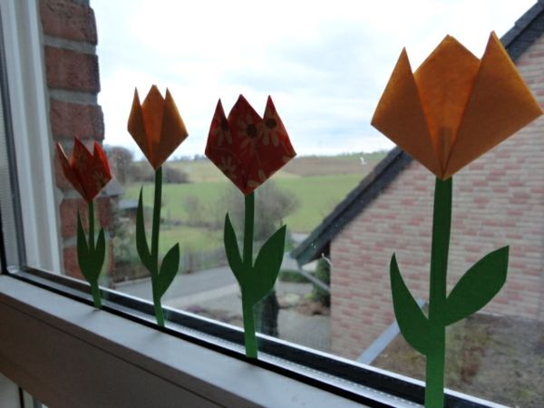 Krásna-tulipán-Drotár-the-window