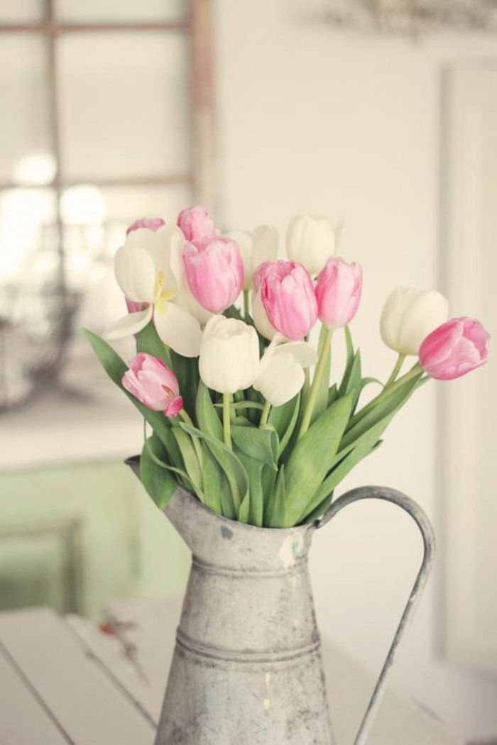 piękny-biało-różowo-tulipany