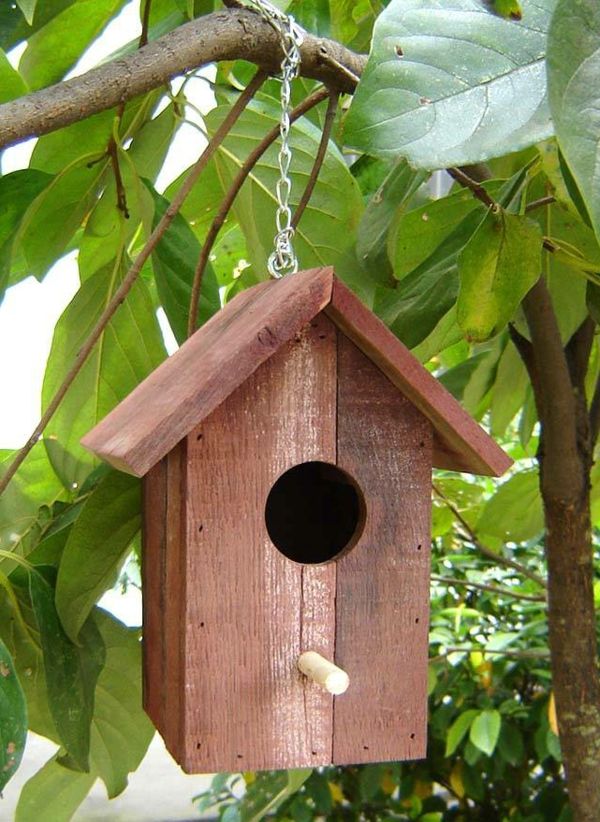 paprasti paukščių maitinančios namų-nuo-medienos dizaino