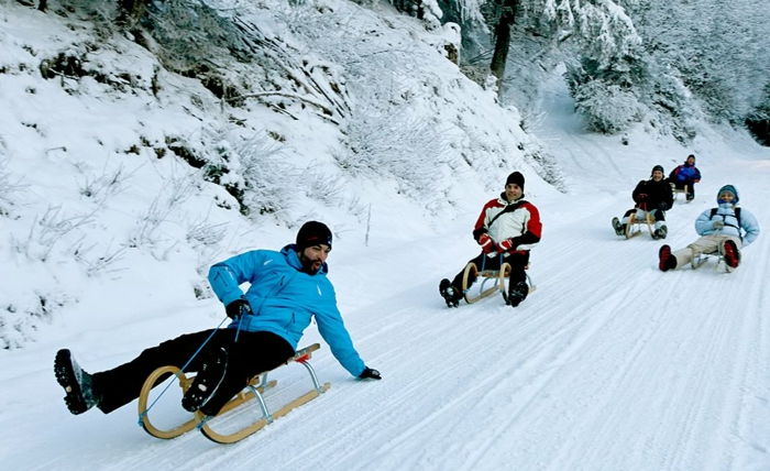 sania trasă de cai-ride-oameni-au-fun