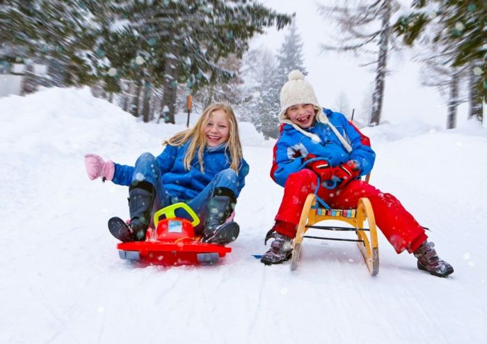 snø-slede-tur Funny bilde